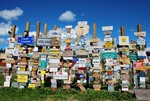 05 Post sign forest, Carcross.JPG