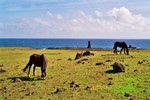pobliz Hanga Roa, Easter island